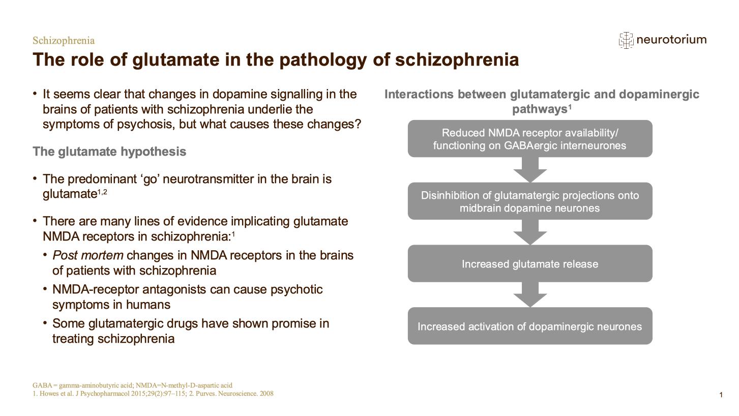 Schizophrenia – Neurobiology and Aetiology – slide 32